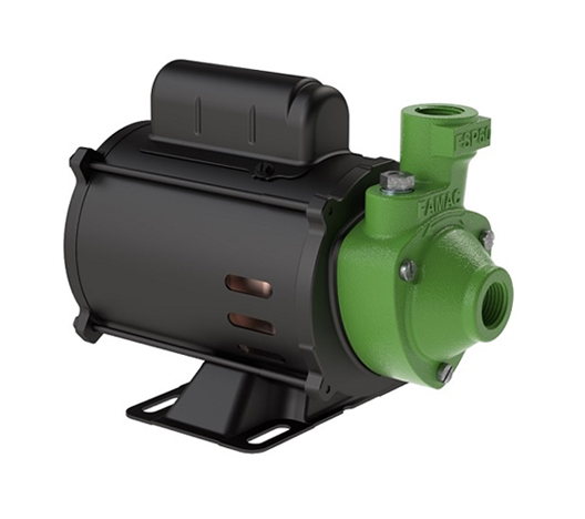 Motobomba Periférica Monoestágio - FSP60-1 - 1/2cv - 220/380V - Trifásica - 60Hz