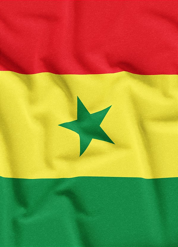 Tecido Helanca Estampa Digital Bandeira de Senegal 1,55m de Largura