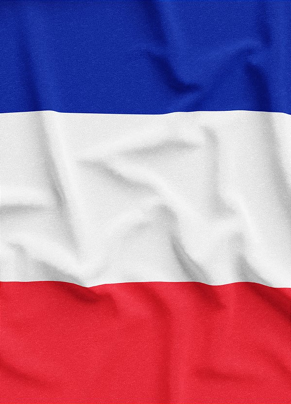 Tecido Veludo Suede Estampa Digital Bandeira da França 1,40m de Largura