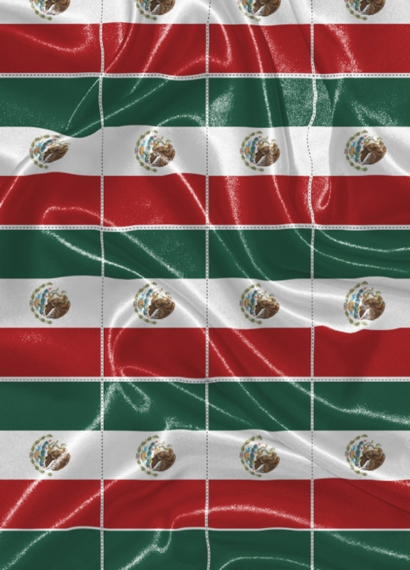 Tecido Cetim Estampa Digital Bandeira do México 1,40m de Largura