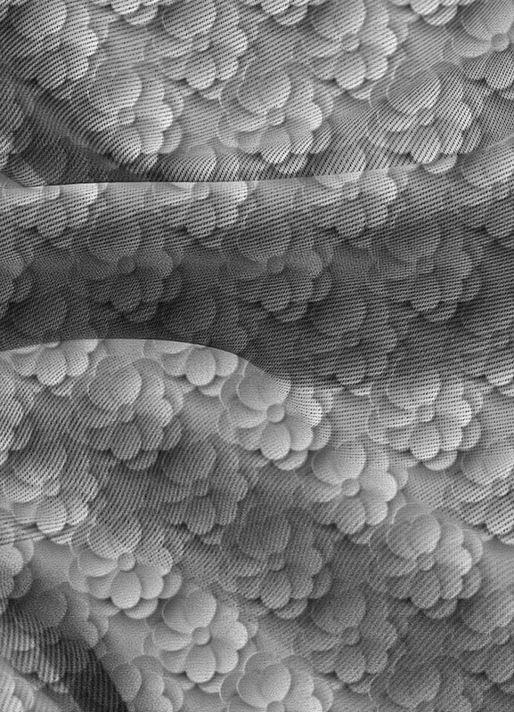 Tecido Blackout Estampa Digital Flor 3D 1,35m de Largura