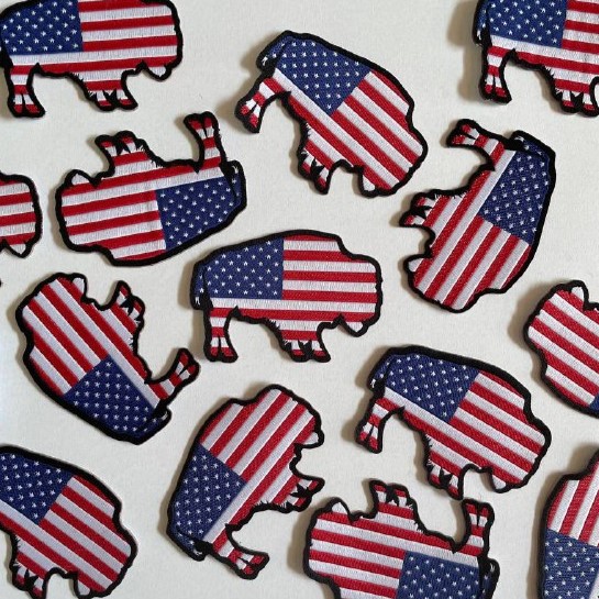 Adesivo Para Chapéu (Patch) Bison EUA
