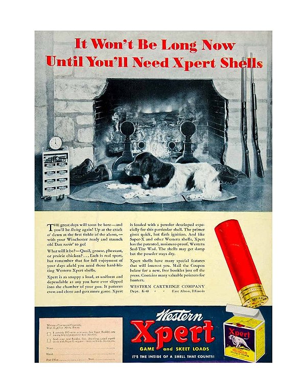 Placa Decorativa 31 Western Xpert