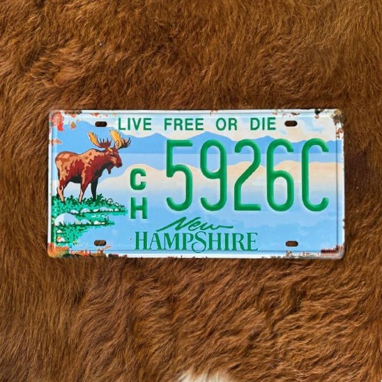 Placa Automotiva Decorativa 2 New Hampshire