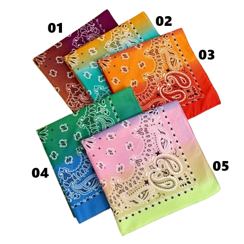 Lenço Bandana Paisley Degrade 02