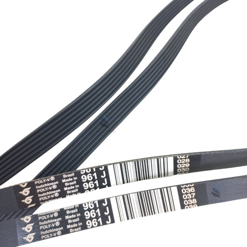 Correia Eliptico 6 Jma 961 Ergometrica Es1 Es2 Bike Sbv Sbh