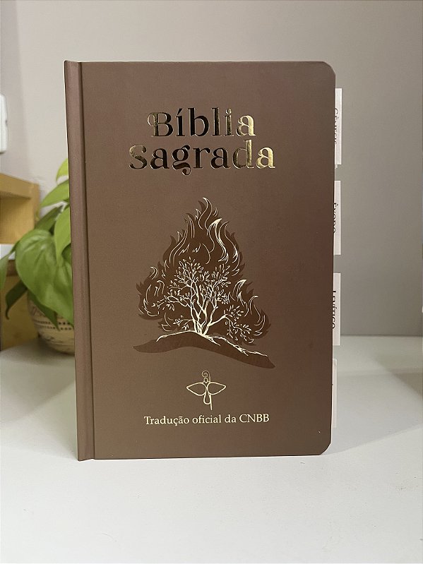 BÍBLIA MARROM SARÇA ARDENTE - LUXO COM ABAS