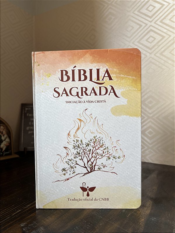 BÍBLIA "BÁSICA" - COM ABAS