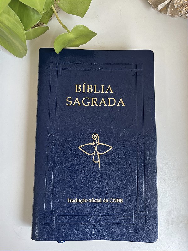 BÍBLIA LETRA GRANDE AZUL MARINHO - LUXO COM ABAS