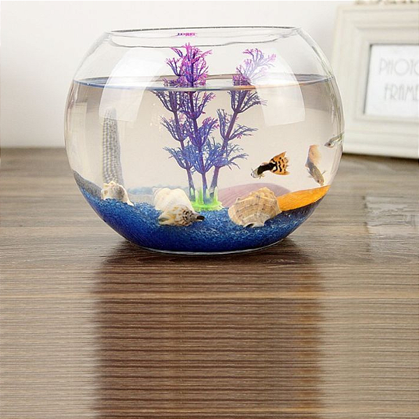Aquario De Vidro Redondo Grande 15x19cm 402 Crystalis