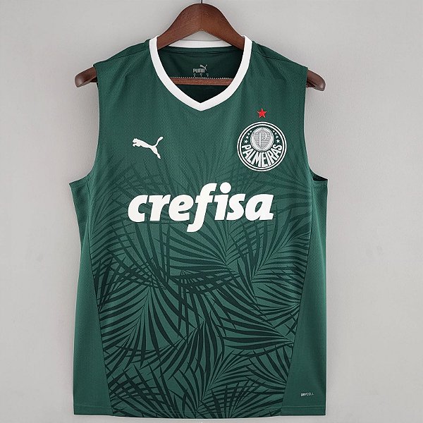 Nova Regata Palmeiras 1 Torcedor Masculina 2023 / 2024 - 021 Sport, Maior  Variedade de Camisas de Futebol