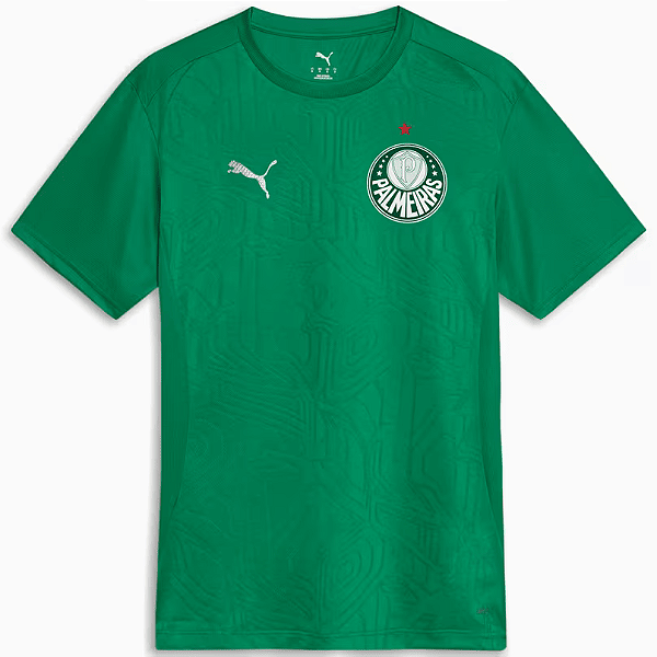 Nova Camisa Palmeiras Treino Verde Torcedor Masculina 2025 / 2026