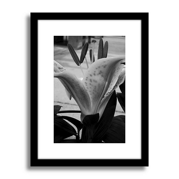 Quadro Decorativo Floral Botânico Lírio PB Sala Quarto
