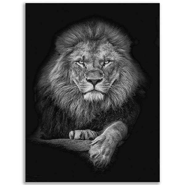 Quadro Canvas Leão de Judá Posição Lider