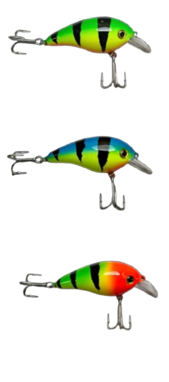 Isca Artifiicial Crank21 Lure21