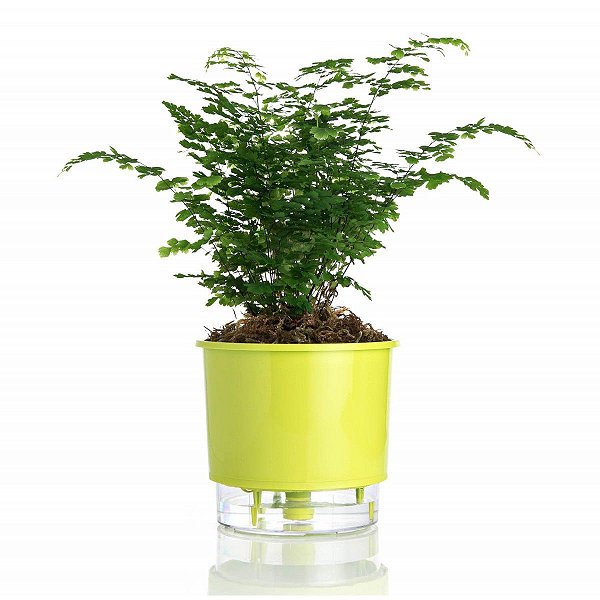 Vaso p/ Plantas Autoirrigável Tamanho Grande 22x19