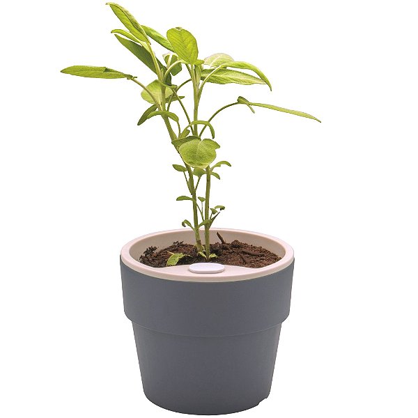 Vaso p/ Plantas Autoirrigável Tamanho Pequeno 12x11