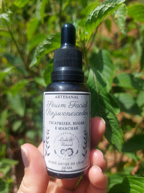 Sérum Facial Rejuvenescedor Com Rosa Mosqueta - Cicatrizes, Rugas e Manchas - Natural Vegano 30 ml