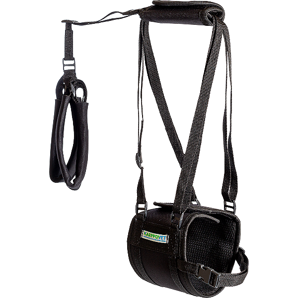 Suporte Auxiliar de mobilidade para cães Preto XP