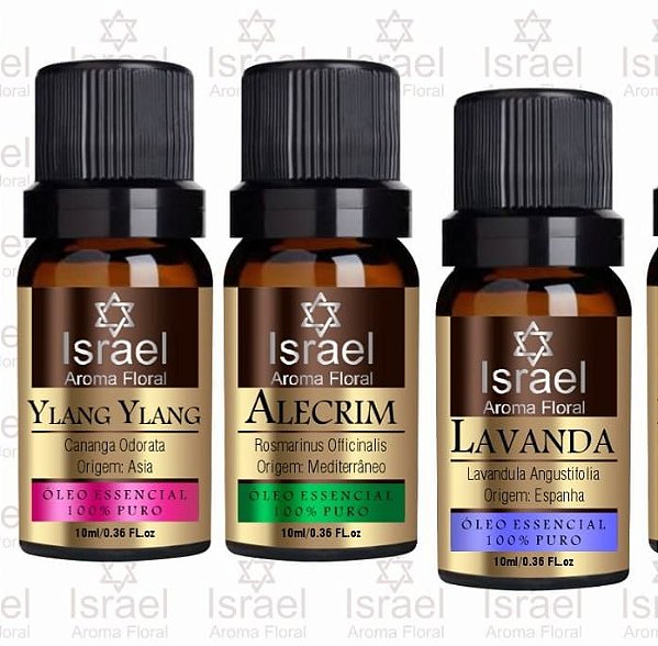 Kit Óleo Essencial Lavanda, Alecrim e Ylang Ylang 10ml (cada)