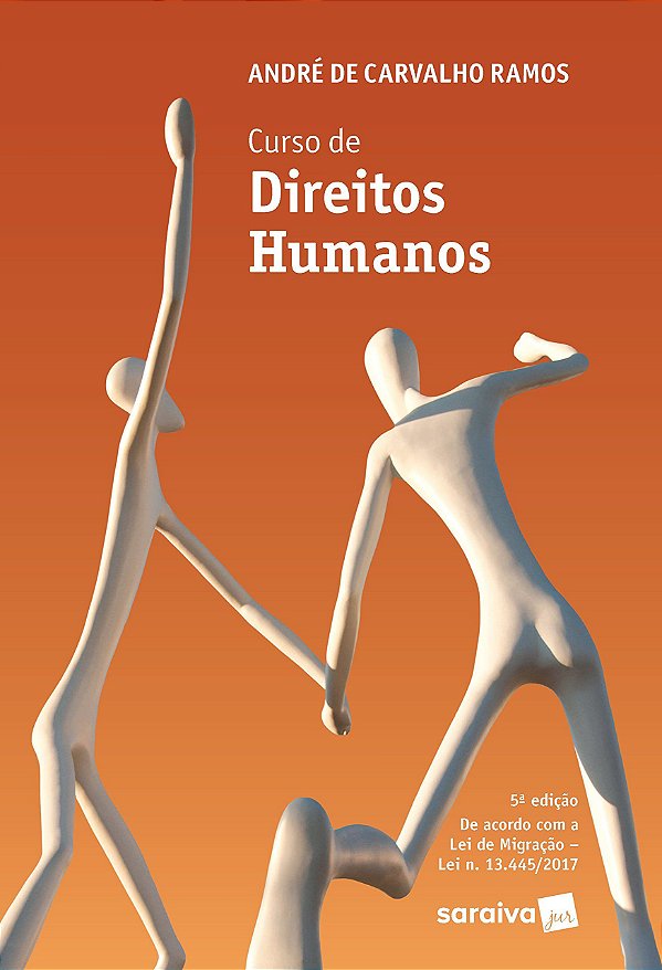 Curso de Direitos Humanos - André de Carvalho Ramos
