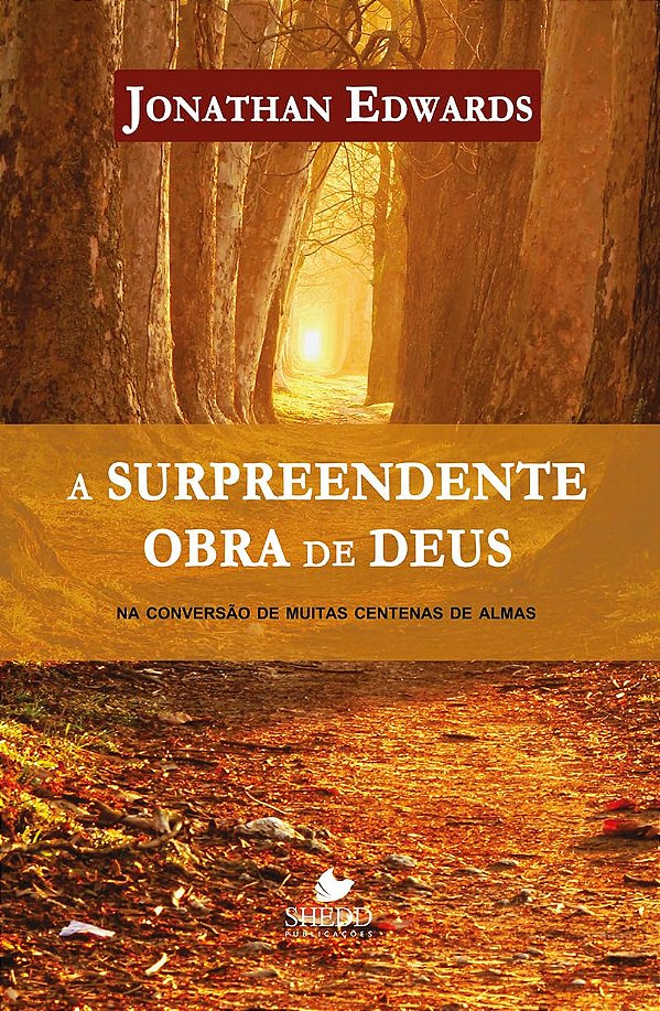 A Surpreendente Obra de Deus - Jonathan Edwards