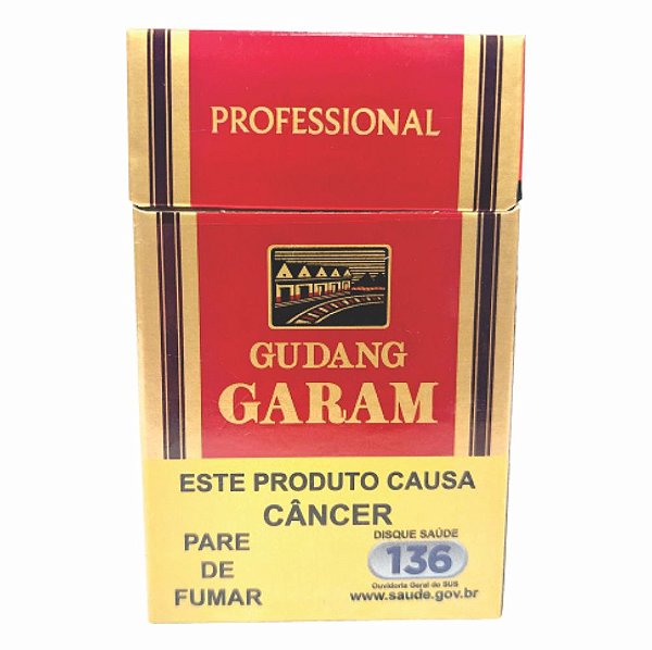 Cigarro Gudang Garam Professional Cravo - (Nacional)