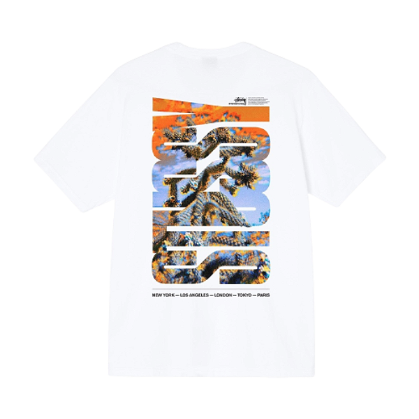 Camiseta Stussy Desert Sky