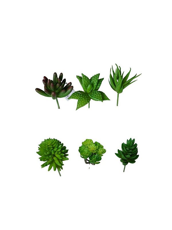 Folhagem suculenta Sortidas X6 verde 10cm Unidade