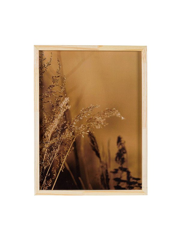 Quadro Armonia  30X40