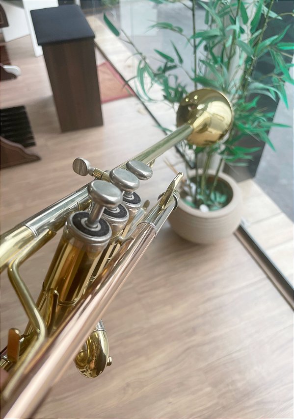 Trompete Triunfal Bb Schieffer corpo dourado - SCHTP-009