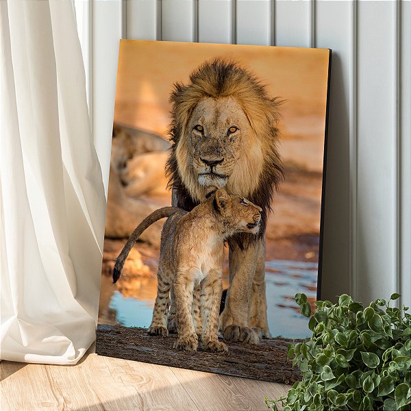 Quadro Decorativo Canvas Animais Selvagens Amor de Leão Pai e Filho no Rio Vertical