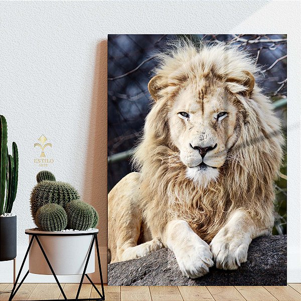 Quadro Decorativo Canvas Animal Selvagem Leão Sentado Vertical