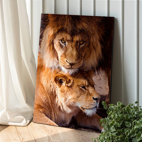 Quadro Decorativo Canvas Animais Selvagens Amor de Casal Leão e Leoa Vertical