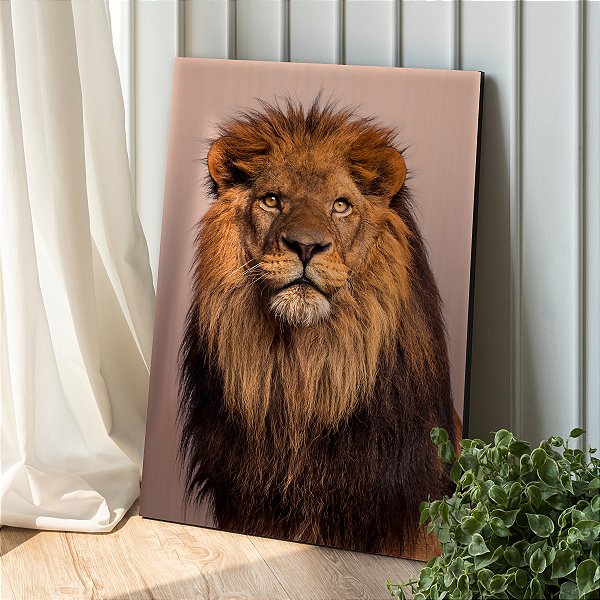Quadro Decorativo Canvas Animal Selvagem Leão Olhos Amarelos e Fundo Rosé Vertical