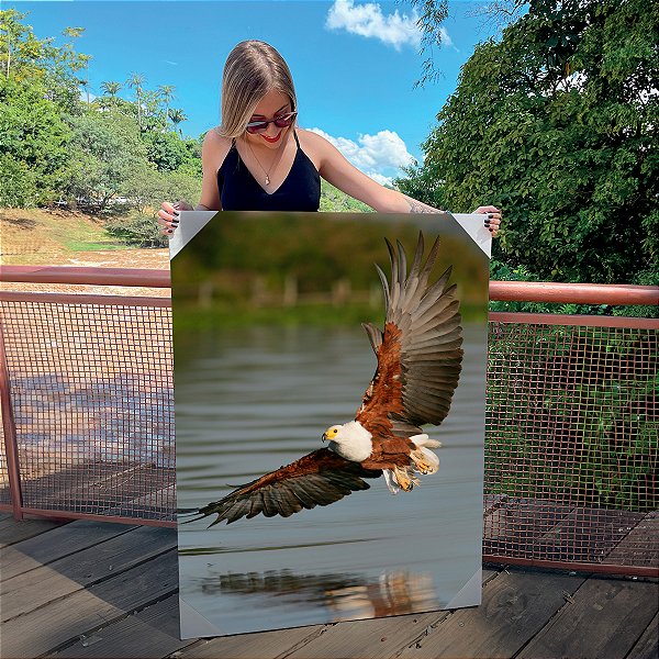 Quadro Decorativo Canvas Animal Silvestre Águia de Asas Abertas sobrevoando o Rio Vertical