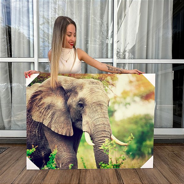 Quadro Decorativo Canvas Animais Elefante Na Floresta Horizontal