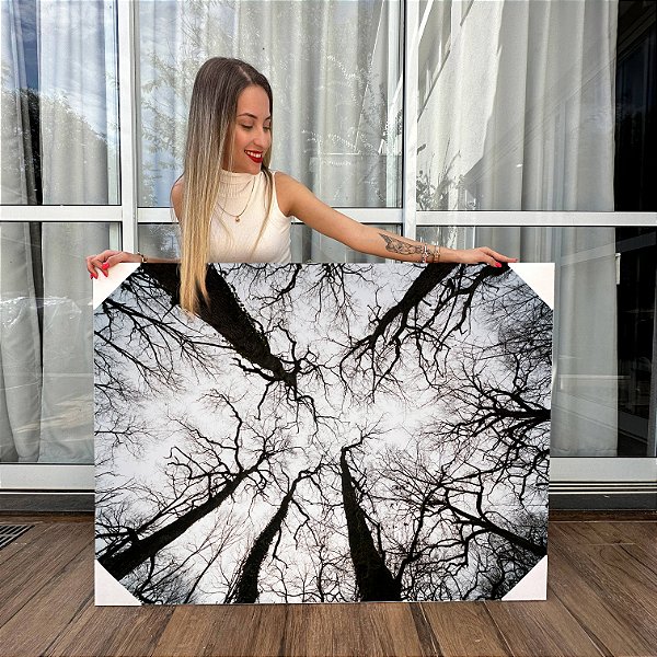 Quadros Decorativos Canvas Céu de Bosque com Árvores de Galhos Secos Horizontal
