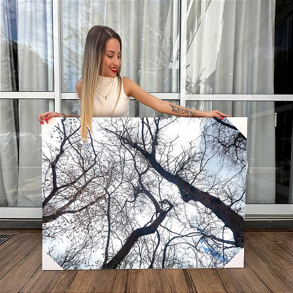 Quadro Decorativo Canvas Árvores com Galhos Secos na Floresta Horizontal