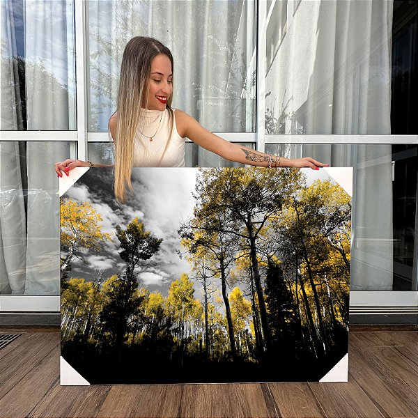 Quadro Decorativo Canvas Natureza Floresta com Ipês Amarelos Horizontal