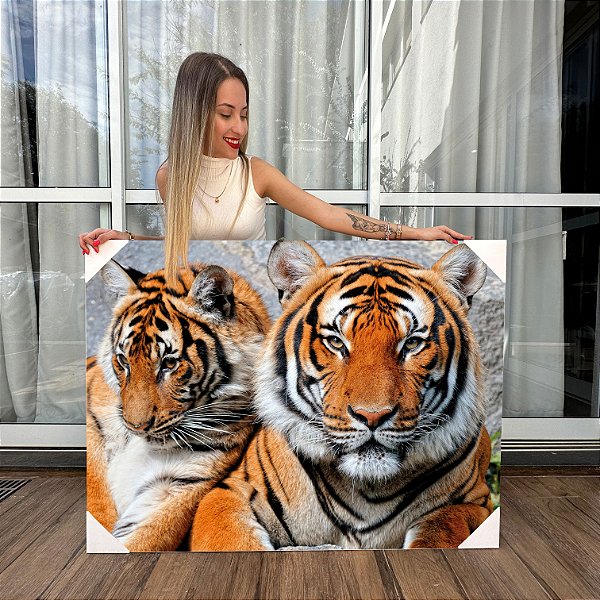 Quadro Decorativo Canvas Animais Selvagens Casal De Tigres Horizontal