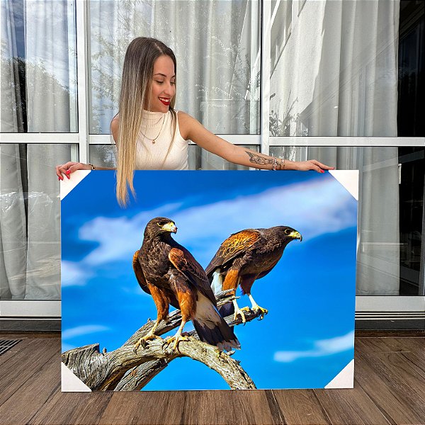 Quadro Decorativo Canvas Águia Real Casal em Tronco Horizontal