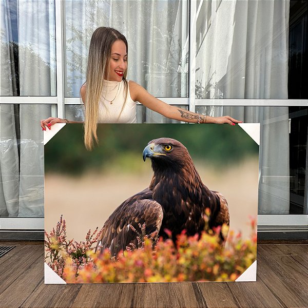 Quadro Decorativo Canvas Águia Real No Campo Horizontal