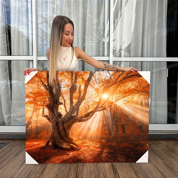 Quadro Decorativo Canvas Bosque De Outono Natureza Horizontal
