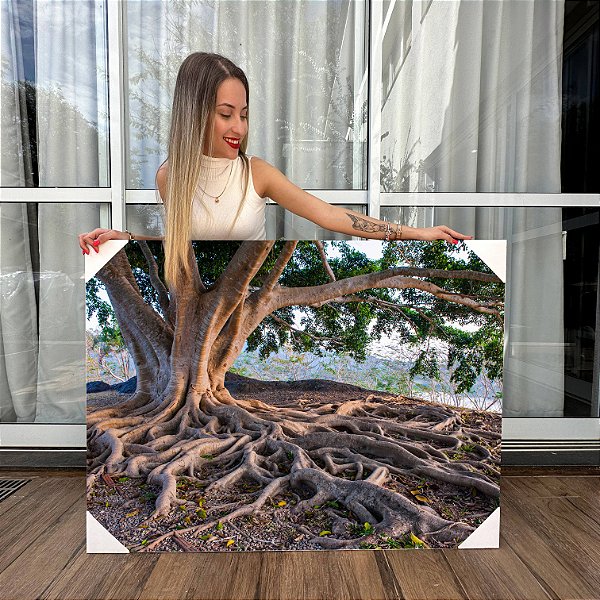 Quadro Decorativo Canvas Raízes das Árvores Natureza Horizontal