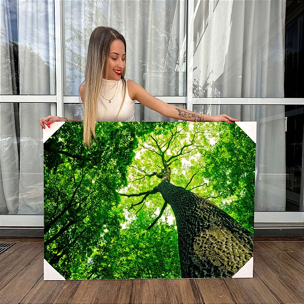 Quadro Decorativo Canvas Árvores em Floresta Natureza Horizontal