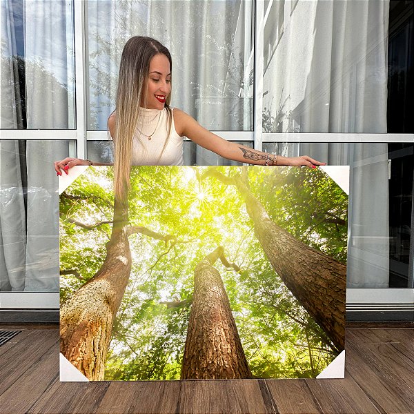 Quadros Decorativos Canvas Árvores na Floresta ao Amanhecer Horizontal