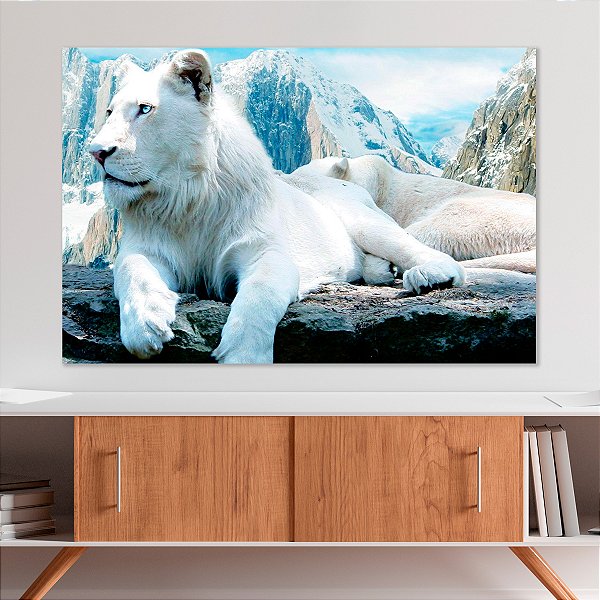 Quadro Decorativo Canvas Animal Felino Selvagem Leão Branco Albino Horizontal