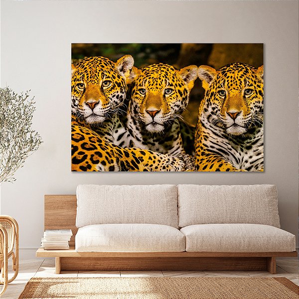 Quadro Decorativo Canvas Animais Selvagens Onças Pintadas Horizontal