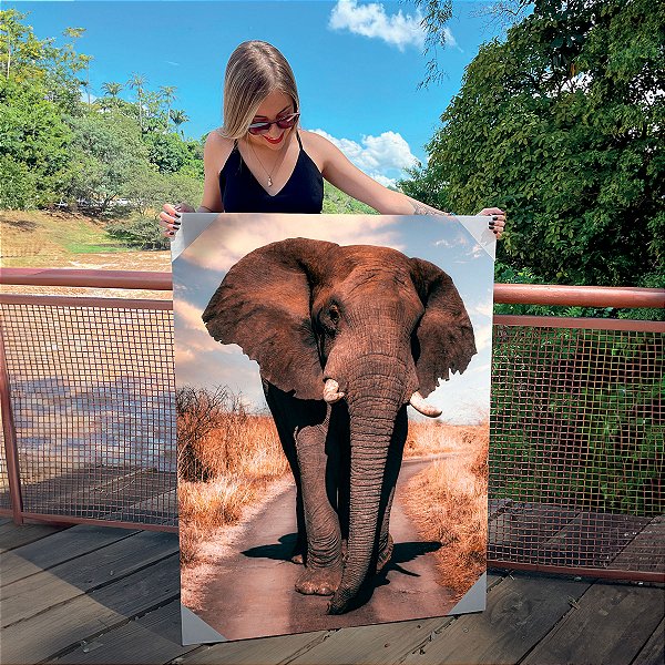 Quadro Decorativo Canvas Animal Selvagem Elefante Colorido Caminhando na Estrada Vertical